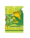 CANNABIS GUMMY BEARS-100G-1PCS