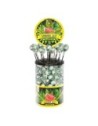 CANNABIS LOLLIPOPS WATERMELON KUSH 18g x100 PCS