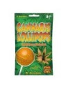 CANNABIS LOLLIPOPS BG x ORANGE BUD- 8 PACK