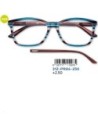 GAFAS LECTURA ZIPPO +2.50 31Z-PR84-250