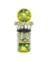 CANNABIS LOLLIPOPS LEMON HAZE 18g x100 PCS